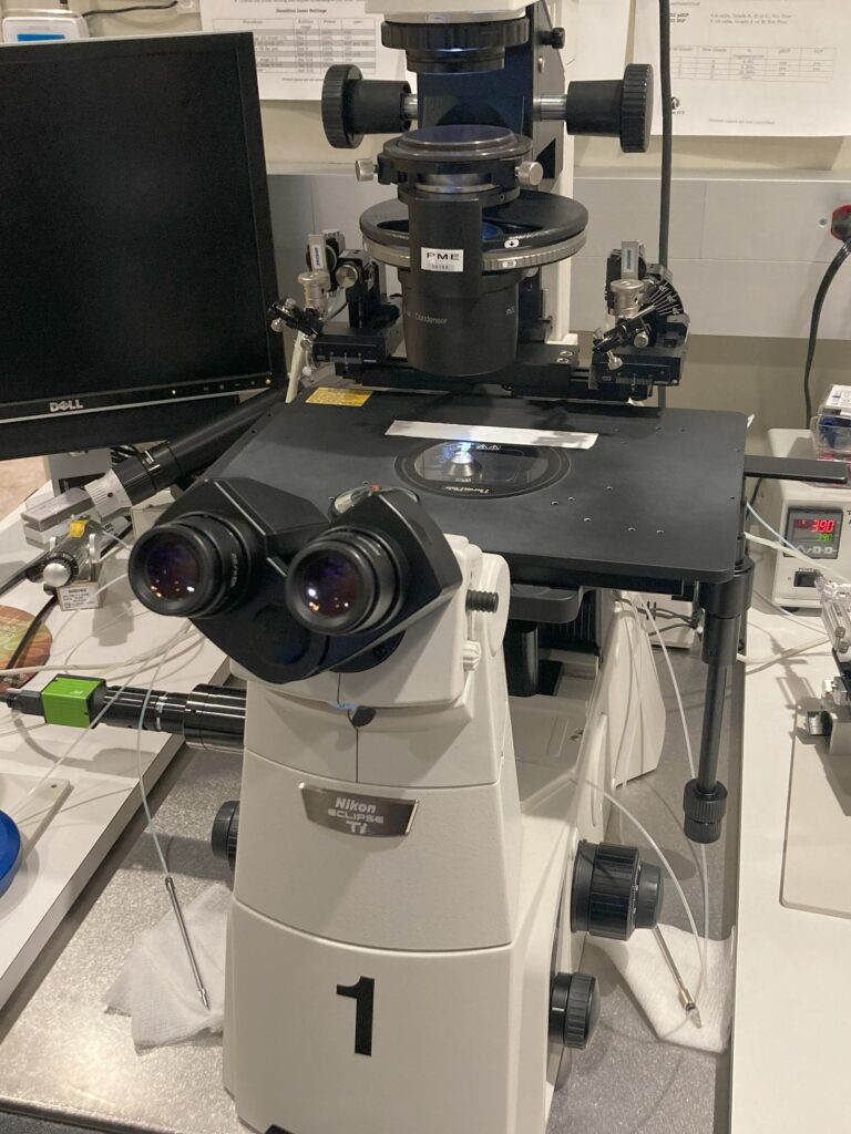 Microscope PM Detroit Michigan